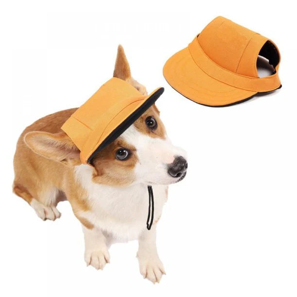 Gorras Mascotas