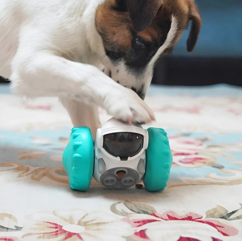 Robot dispensador de snacks para mascota